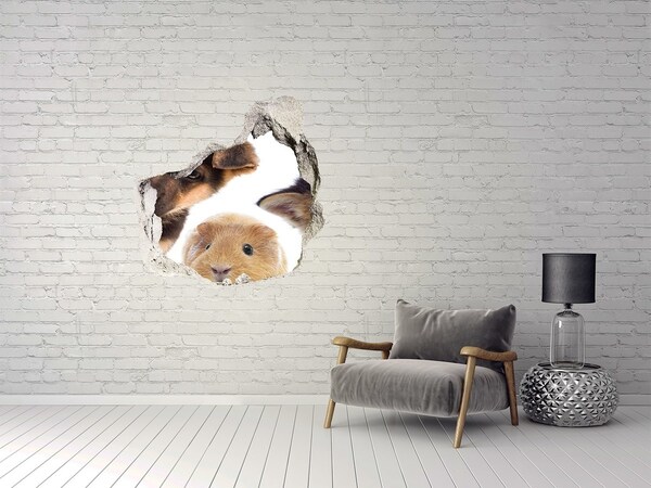 3D wall hole Animals from beyond the wall
