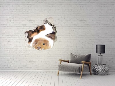 3D wall hole Animals from beyond the wall