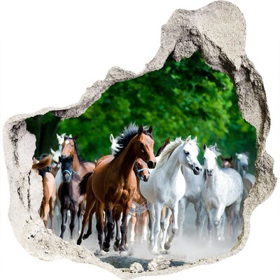 Hole wall sticker A herd of horses on the run