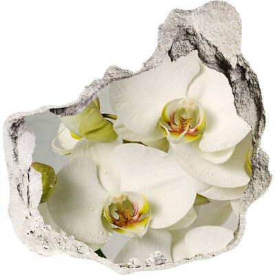 3D wall hole wallpaper White orchid