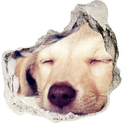 Hole wall sticker Cute dog in a hole in the wall