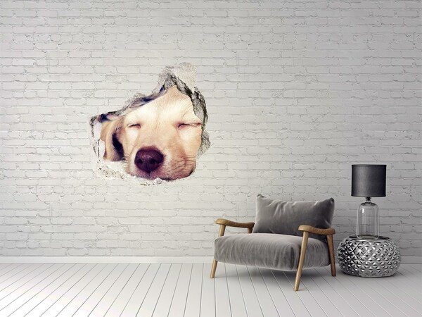 Hole wall sticker Puppy and cats