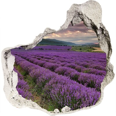 Hole in the wall sticker Lavender fields in the rays of the setting sun