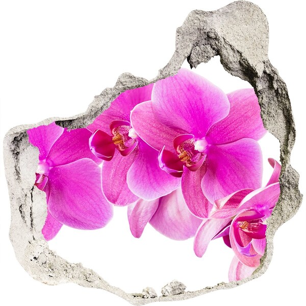 Hole wall sticker Orchid flowers in a concrete hole