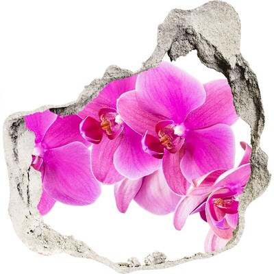 Hole wall sticker Orchid flowers in a concrete hole