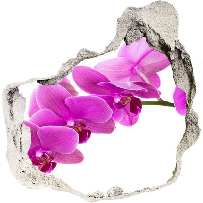 Hole wall sticker Orchids through a hole in the wall
