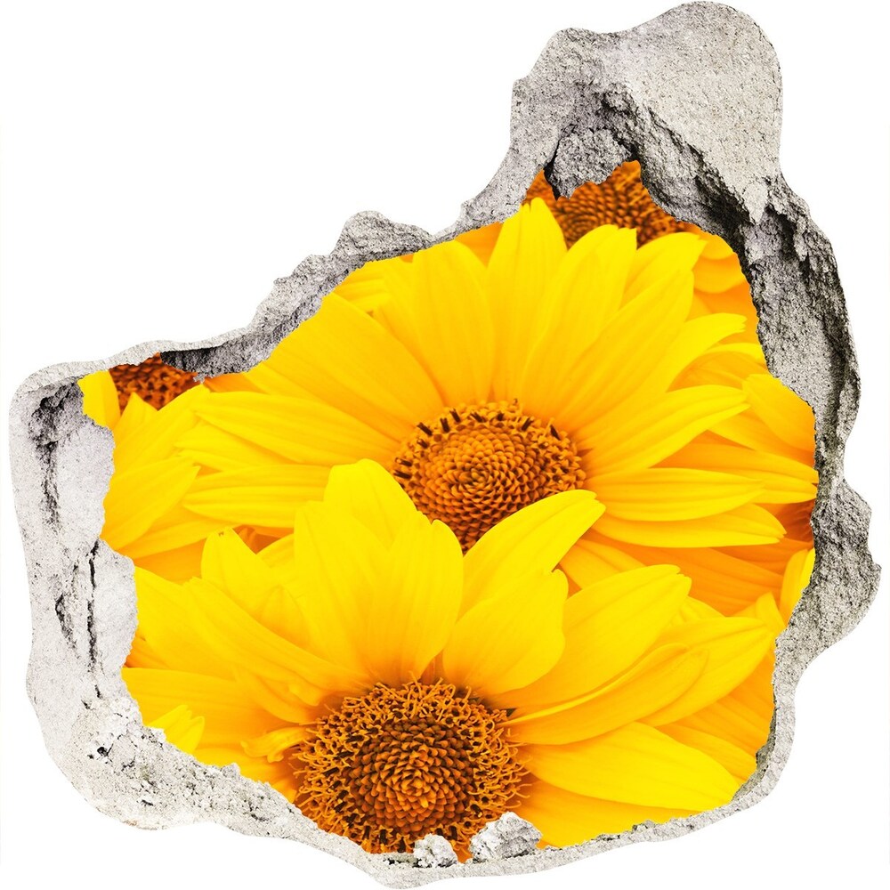 Hole in the wall decal Sunflowers