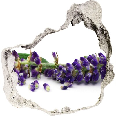 Hole in the wall sticker Lavender flower through a hole in the wall