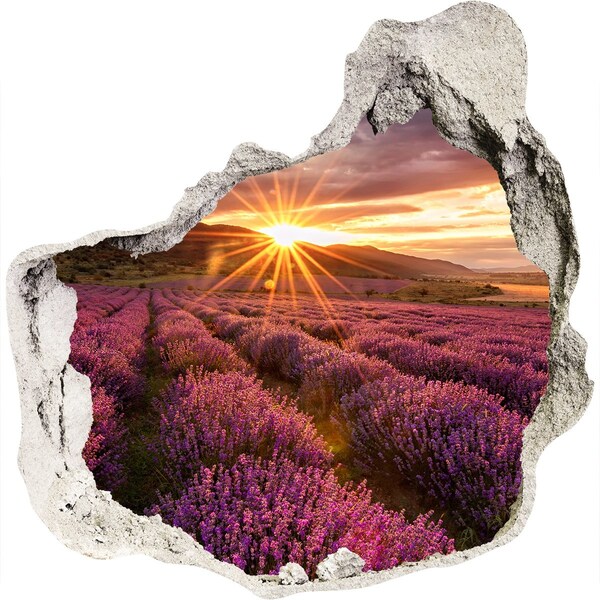 Hole in the wall decal Lavender field at sunset