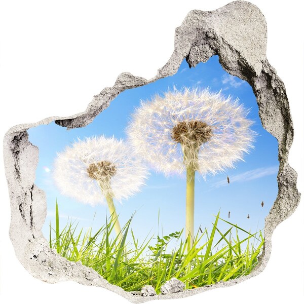 Hole in the wall decal Dandelion flowers in the sky