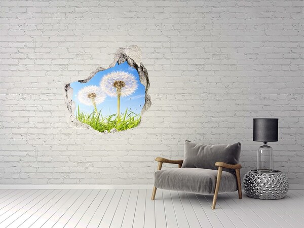 Hole in the wall decal Dandelion flowers in the sky
