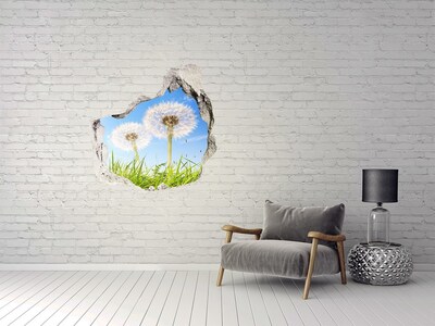 Hole in the wall decal Dandelion flowers in the sky