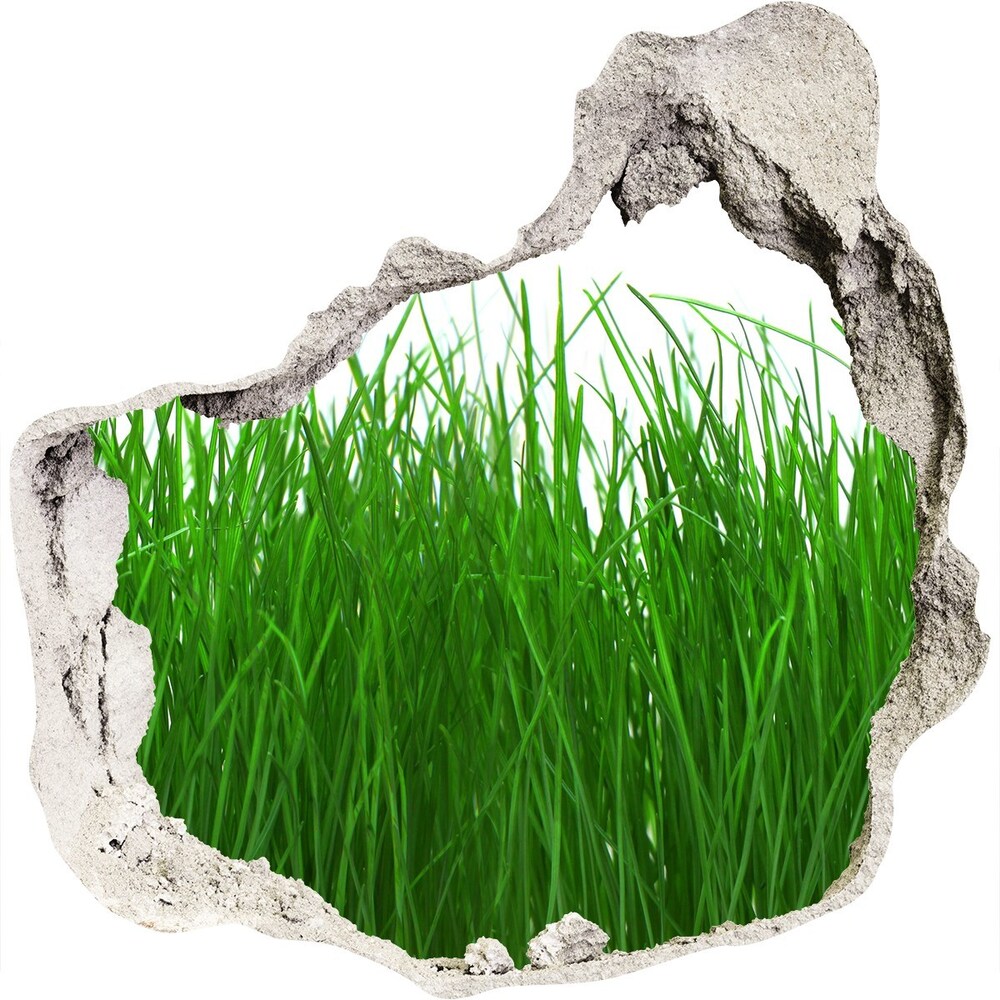 Hole in the wall decal Grass