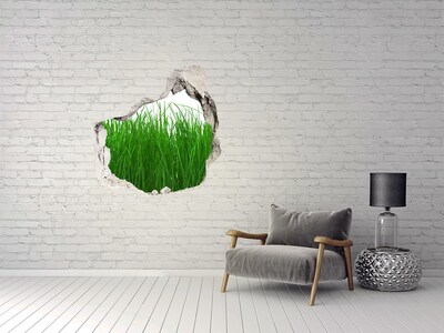 Hole in the wall decal Green meadow through a hole in the wall