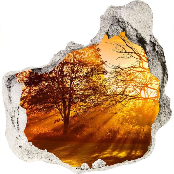 3D wall hole Golden rays of sunshine in the forest