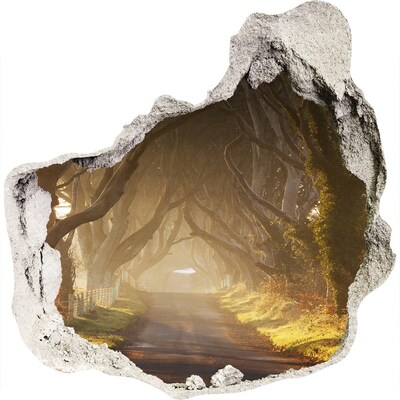 Hole wall sticker A path among the trees