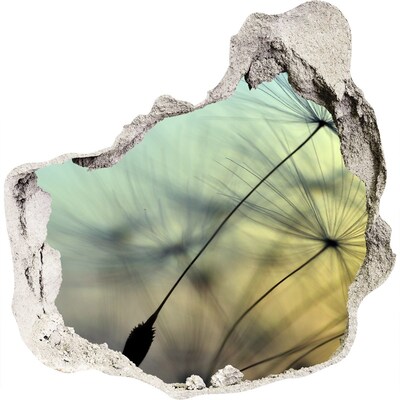 Hole wall sticker Dandelion Dream
