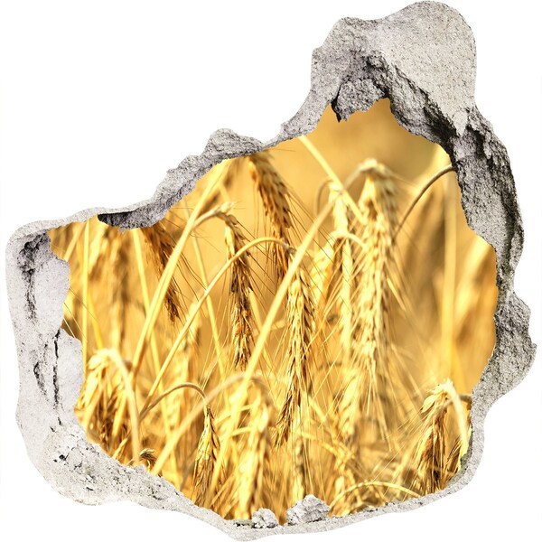 3D wall hole Golden grains in the sunshine