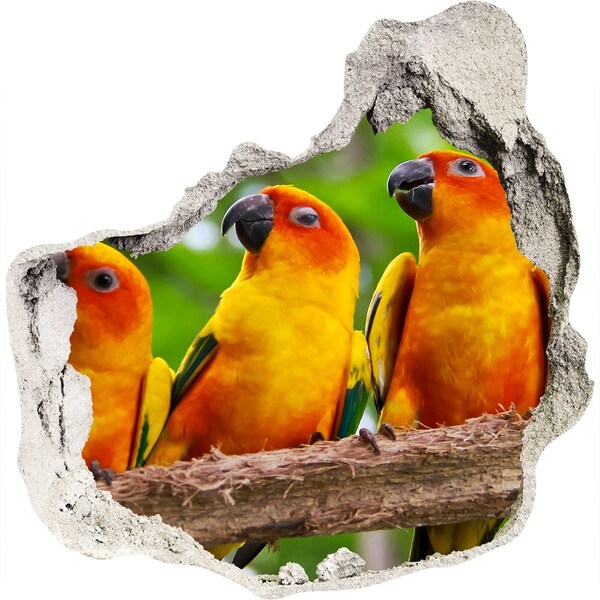 3D wall hole Tropical parrots in a hole in the wall