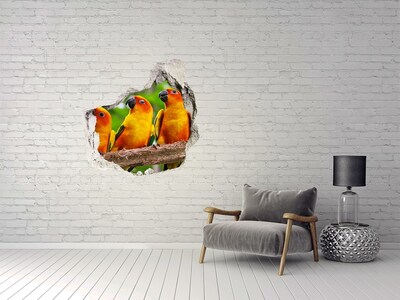 3D wall hole Tropical parrots in a hole in the wall