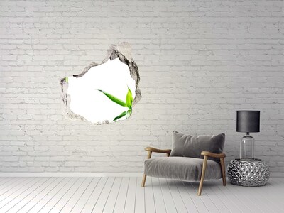 Hole wall sticker Green plant through a hole in the wall