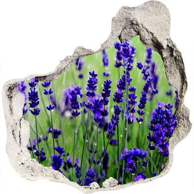 Hole wall sticker Lavender flower meadow