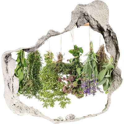3D wall hole wallpaper Herb garden in the wall