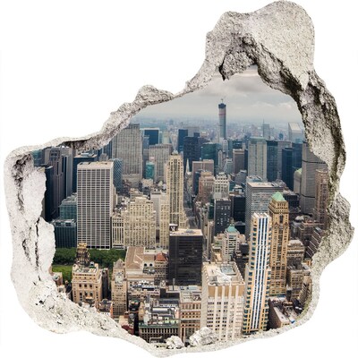 Hole wall sticker View of New York