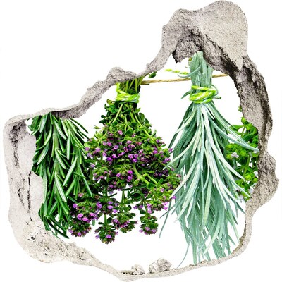 Hole in the wall decal Herbs on a string