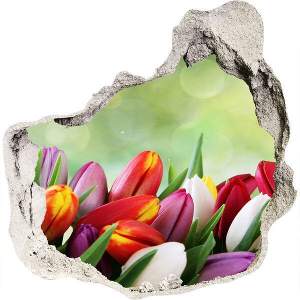 Hole in the wall decal Colorful tulips