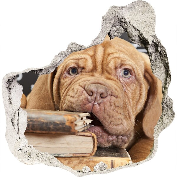 Hole in the wall sticker A sweet puppy among books