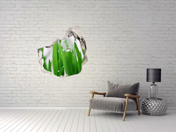 Hole in the wall sticker Green meadow with drops of water