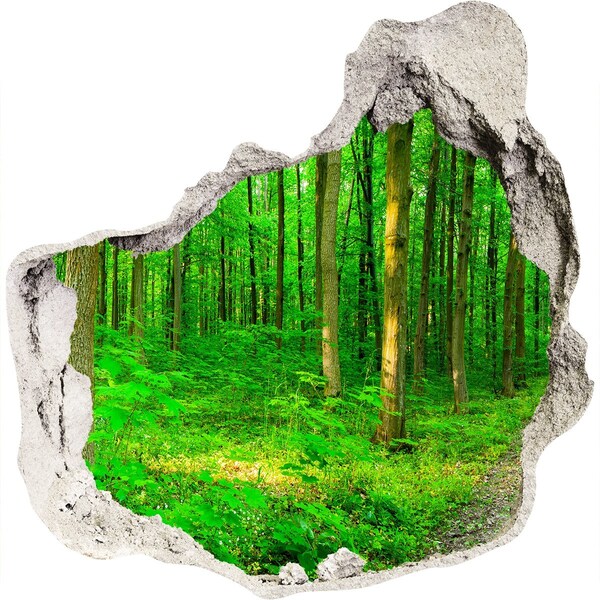 Hole in the wall sticker Green Forest in a Hole in the Wall