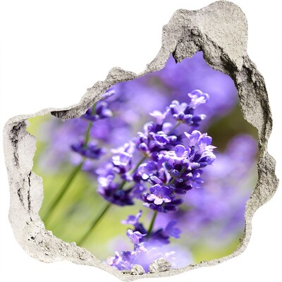 3D wall hole Lavender flowers in a virtual hole