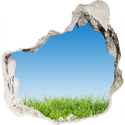 Hole wall sticker Green meadow under a blue sky