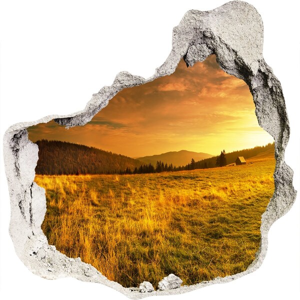 Hole wall sticker Golden meadow at sunset