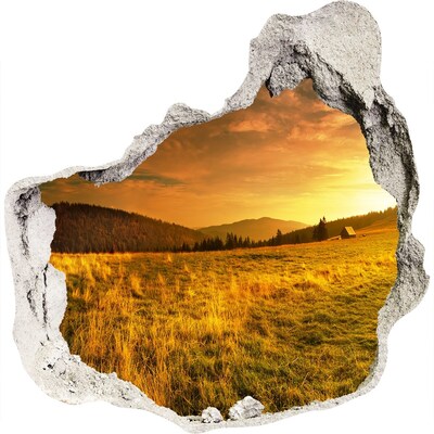 Hole wall sticker Golden meadow at sunset