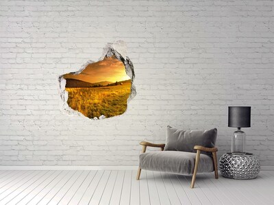 Hole wall sticker Golden meadow at sunset
