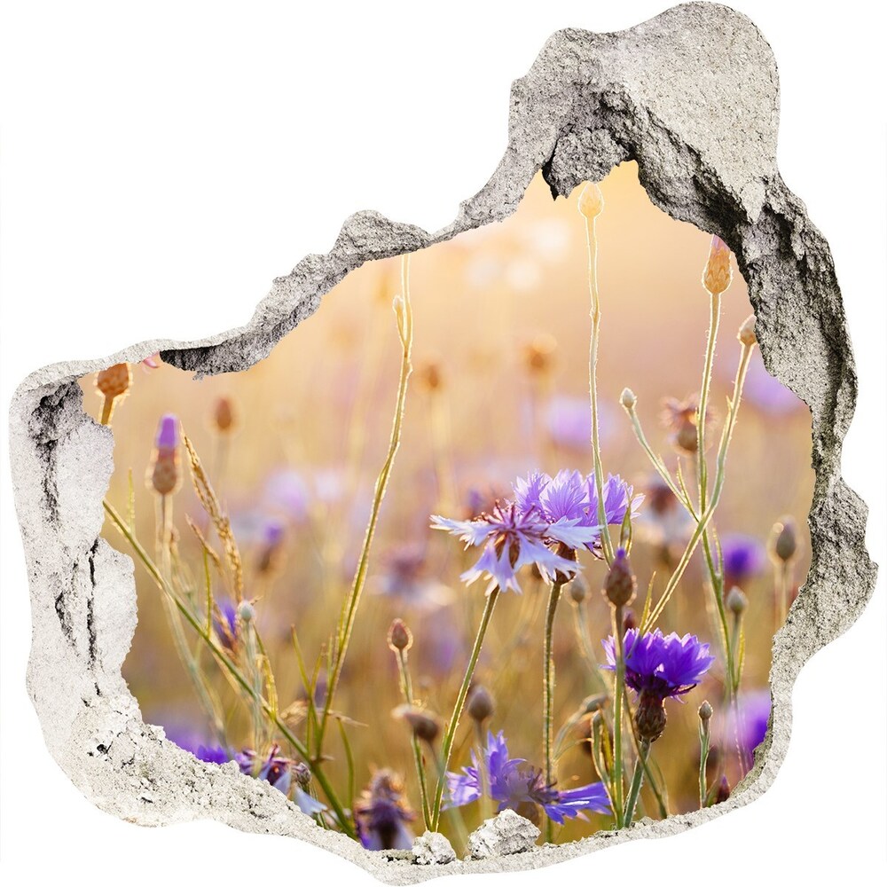 Hole wall sticker Field flowers