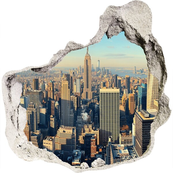 Hole wall sticker View of New York