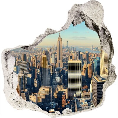 Hole wall sticker View of New York