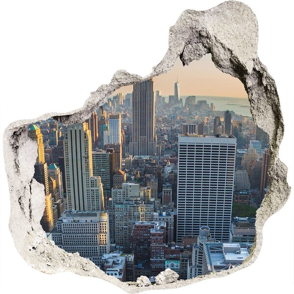 Hole in the wall decal View of New York
