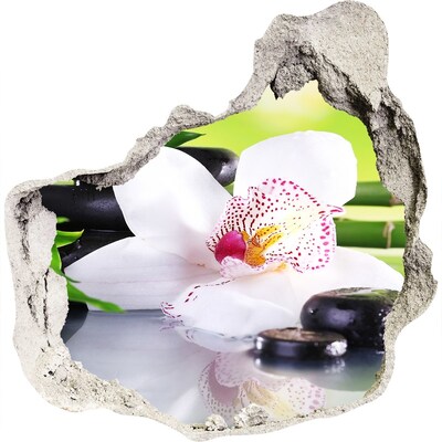 Hole wall sticker Orchid