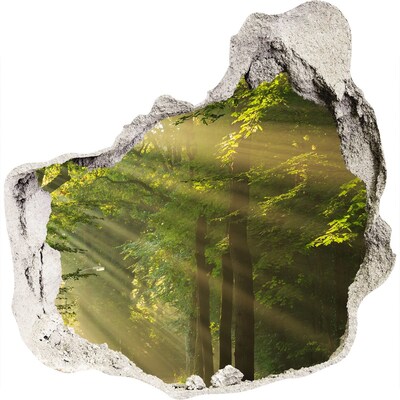 3D wall hole Forest Oasis of Light