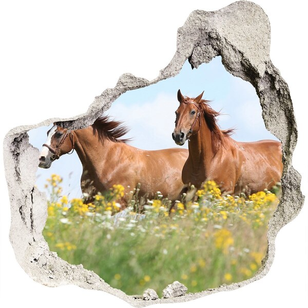 3D wall hole Horses in the meadow