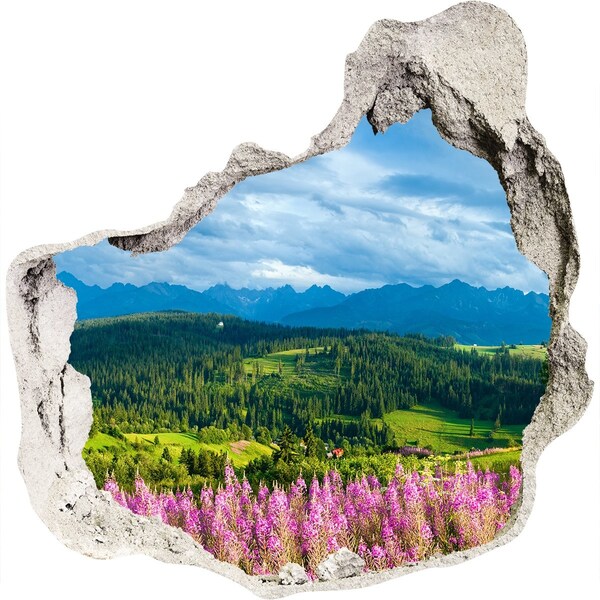 Hole in the wall decal Mountain landscape with flowers