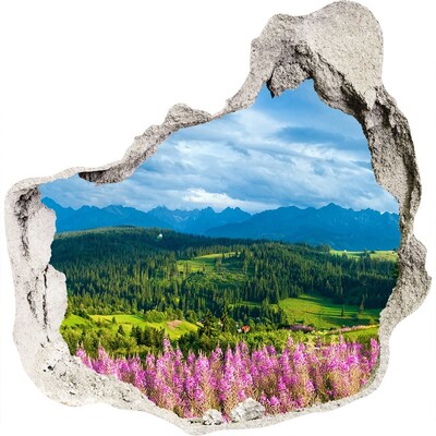 Hole in the wall decal Mountain landscape with flowers