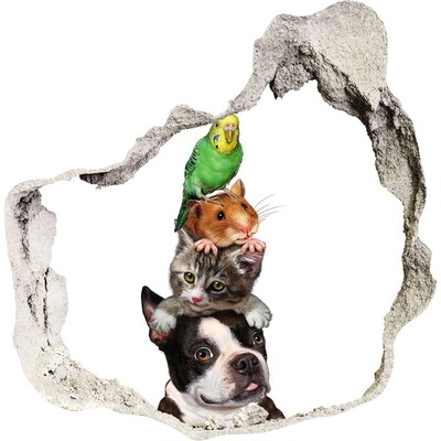 Hole wall sticker Animal Friendship Tower