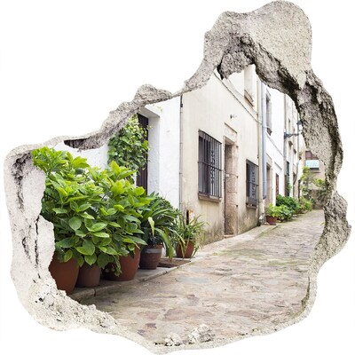 Hole in the wall decal A charming street with vegetation