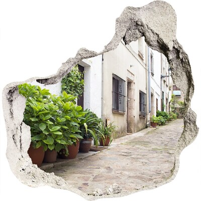 Hole in the wall decal Charming street